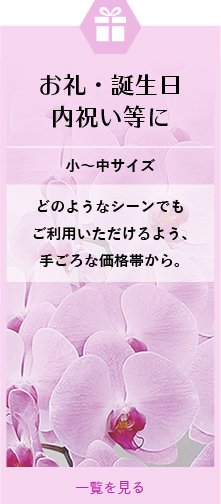 お礼・誕生日・内祝い等