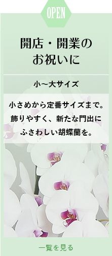 開店・開業のお祝いに